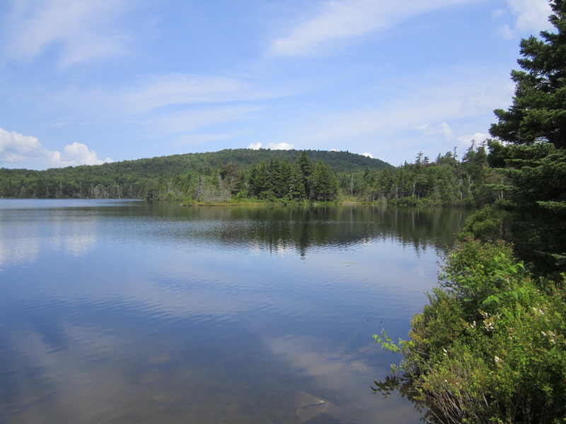 Stratton Pond