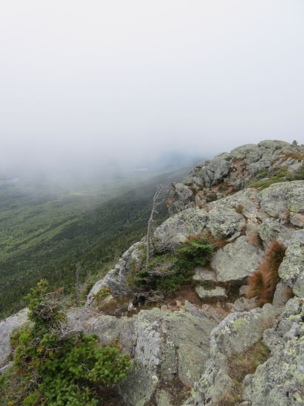 West Peak Summit Area
